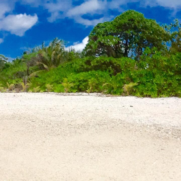 Отель Fare Maeva Moorea Teavaro Номер фото